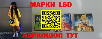 гидропоника Краснодар