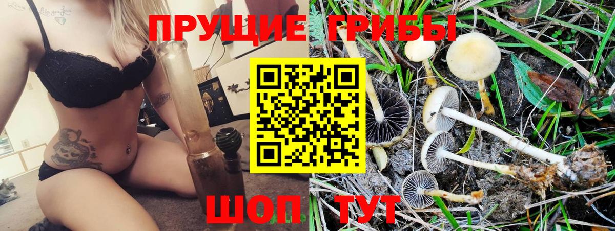 Ковров  Галлюциногенные грибы Magic Shrooms  Вход с VPN 
