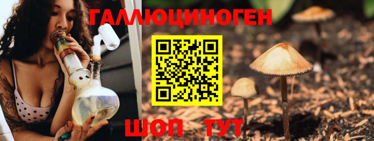Псилоцибиновые грибы Cubensis Ковров